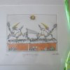 CIMG1158